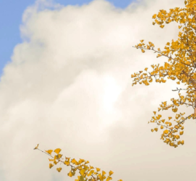 关于退休发的朋友圈感慨说说 退休了发朋友圈的短句2