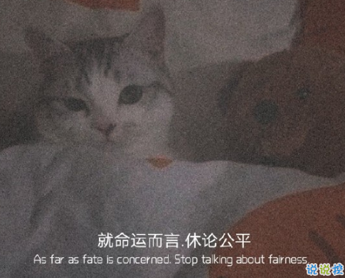 一听就让你觉得意难平的文案 温柔到让人心疼的说说2