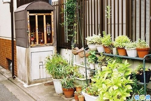 爱情超级甜的幸福说说大全 2019微信幸福说说心情短语1