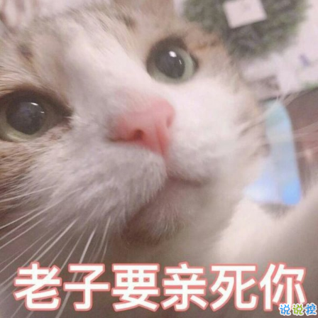 七夕情人节发什么说说搞笑 2018七夕发朋友圈搞笑说说段子加配图12