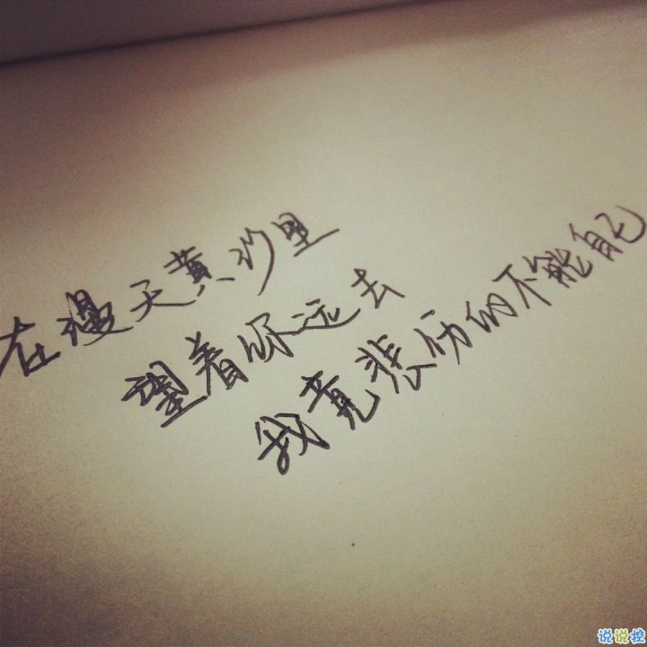 哪句歌词让你热泪盈眶图片带字 从前从前有个人爱你很久4
