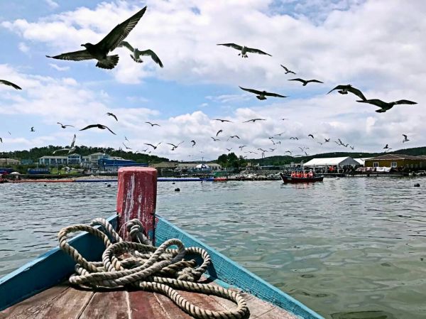 有些心累想要放弃的说说 这么久了我学会的除了坚持到底还有适可而止2