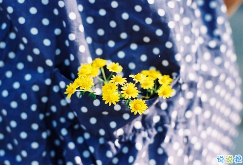 文字控必看的小清新唯美句子 你是年少的欢喜喜欢的少年是你2