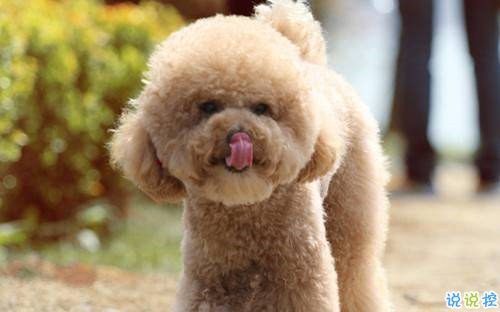 酷到爆炸的说说2018 不爱我请允许我怼死你3