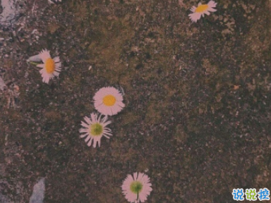 分手后很难受的说说 想不开放不下的爱情说说2