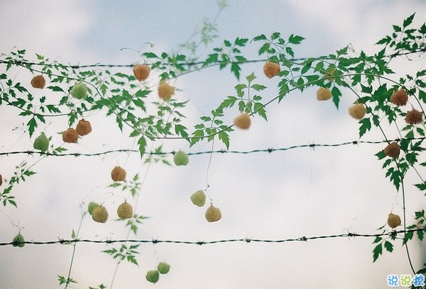 文字控喜欢的简单个性说说 真正在乎你的人是不会被别人抢走的2
