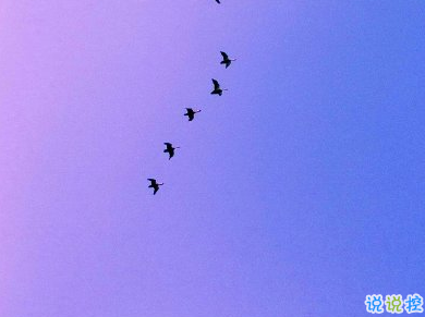 外表坚强内心破碎的伤感说说 女生被爱所困的句子2