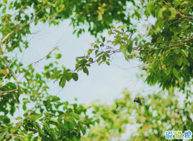 微信个性说说短句 女生说说独一无二1