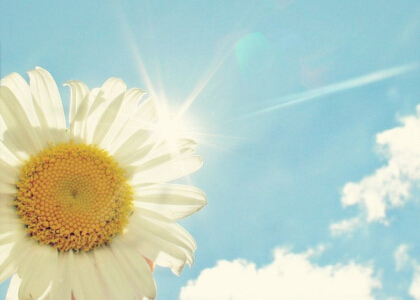 即将中考的说说，关于中考的说说大全