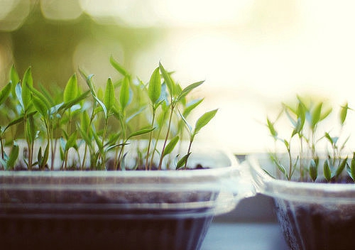 关于爱情的有些伤感但却很有道理的唯美文艺说说1