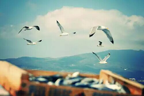 让人难过伤感爱情说说带图片 差一点就抱住他了我再睡一会儿试试5