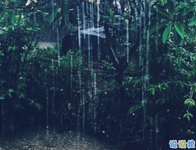 下雨了说说个性短句 和下雨天相关的说说句子2