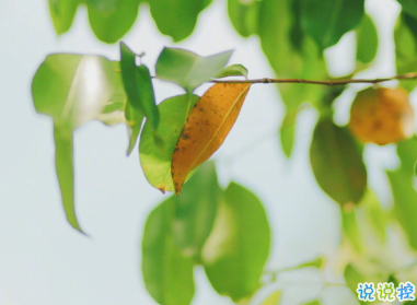 微信个性说说短句 女生说说独一无二2