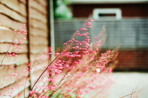 不知道发什么说说时感觉有些无聊发的说说2