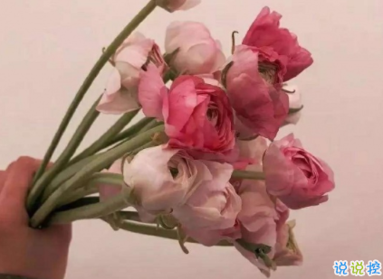 心酸的爱情说说大全 被爱情遗忘的说说2