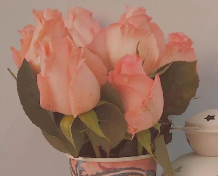 和男朋友赌气发的说说 暗示男朋友自己生气了的文案1