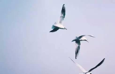 有个性的超励志的正能量说说 只有同样经历过无边黑暗的人才有资格说我理解你1