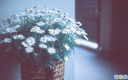 最美好的爱情说说大全 简单幸福说说心情短语2