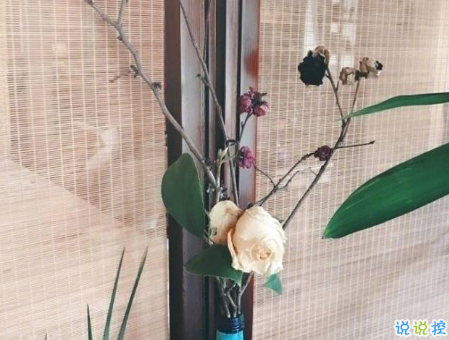 为情所伤的句子很伤感 看了想哭的爱情伤感说说2