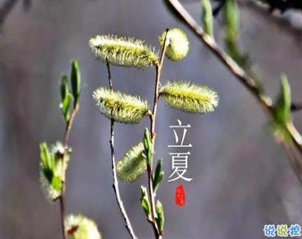 2021立夏的心情说说 关于立夏的心情短句1