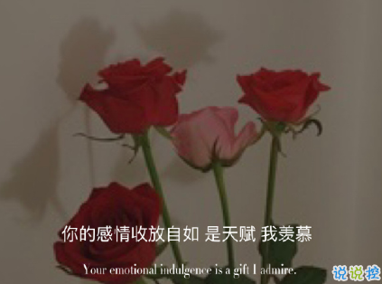母胎单身狗的心情说说 单身没谈恋爱的心情句子1
