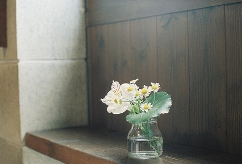 心情不是很好茫然时发的说说 对珍视的人说的每一句话都是誓言2