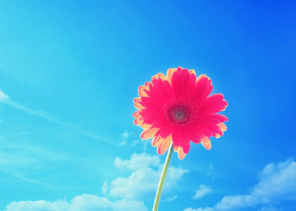 2016英文说说，微信英文说说大全