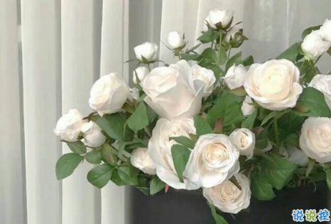 为什么会有，越喜欢一个人越远离Ta，这种心态？2