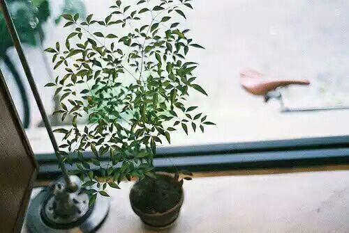 让人难过伤感爱情说说带图片 差一点就抱住他了我再睡一会儿试试8