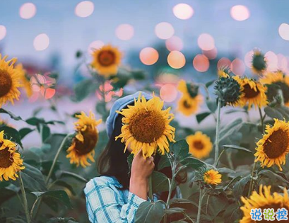 抖音一句话高端秀恩爱 高逼格情侣说说很甜很撩2