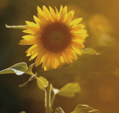 手被割了的难过文案 手指被割伤的心情短句1