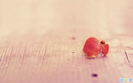 心累的说说对爱情失望了 身心疲惫想放弃说说1