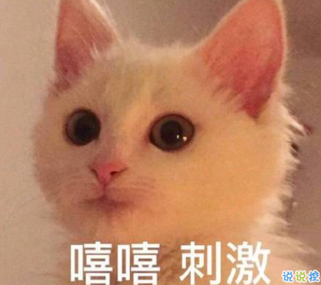 2020只剩40天朋友圈心情说说 迎接2021的心情说说1