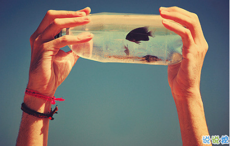 艾特自己的自嘲句子说说文字控 有关艾特自己的个性说说2