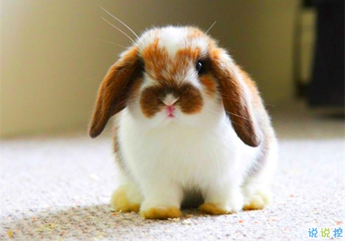 酷到爆炸的说说2018 不爱我请允许我怼死你2