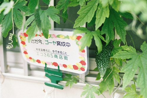 适合感到孤独寂寞时发的说说 孤独是空气你呼吸着它而感觉到自己存在2