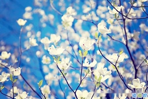 2019春分朋友圈早安祝福语带图片 春分唯美说说简单一句话4