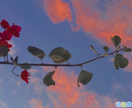 2021520官宣领证的说说 520领证晒朋友圈的句子2