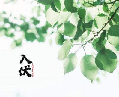 今日出伏的心情说说 2021出伏的心情短句2