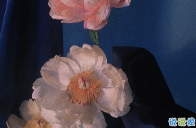 送你十月十日的祝福 十全十美就在十月十1