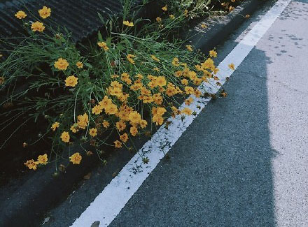 鼓励你前进的超励志说说 既然认准了一条路就不要去打听要走多久1