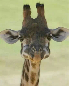 微信说说带图片：这个世界，看你二的人很多，陪你二的人很少10