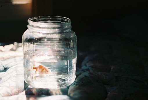 心情不是很好茫然时发的说说 对珍视的人说的每一句话都是誓言1