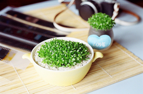 适合深夜心情不好孤独寂寞时候发的图片说说 喜欢你是一场漫长的失恋 ​8