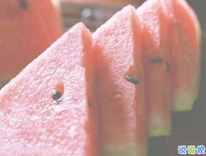 晒西瓜的句子简短带图片 夏天关于西瓜的说说3