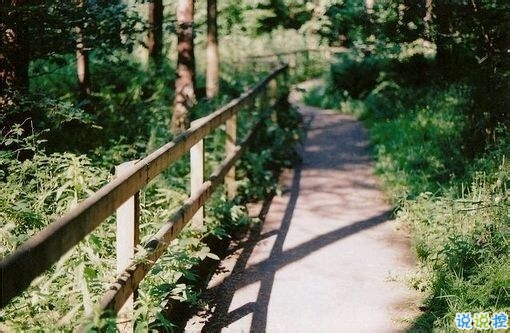 偶然看见的一句话可以打动你心 很经典的爱情说说大全20181