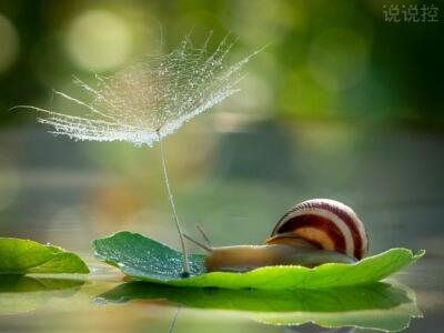 最火的说说句子，文字控很火的说说