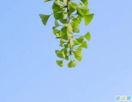 夏天天气闷热烦躁的心情说说 2021天气闷热心烦的句子1