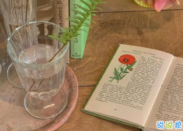 朋友圈个性文案简短吸引人 最火宝藏短句合集2