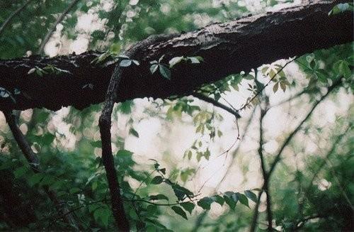 两个聊了很久的人突然不聊天了，是一种什么样的体验？2